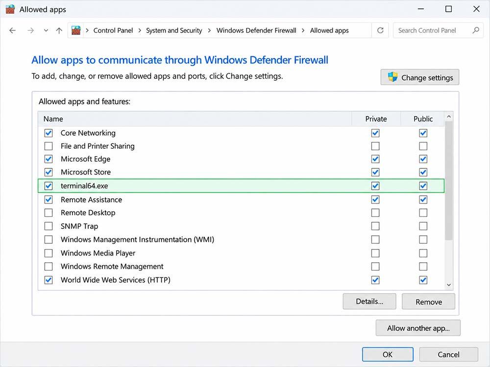 Windows Defender Firewall allowed apps showing terminal64.exe