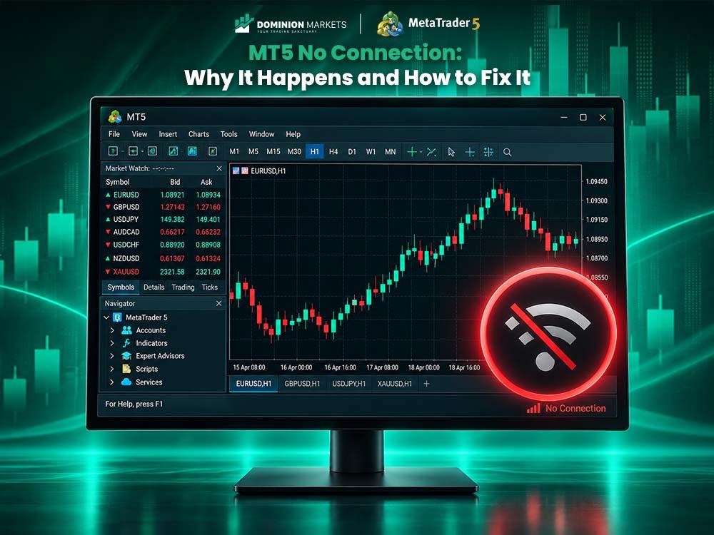 MetaTrader 5 showing a No Connection issue
